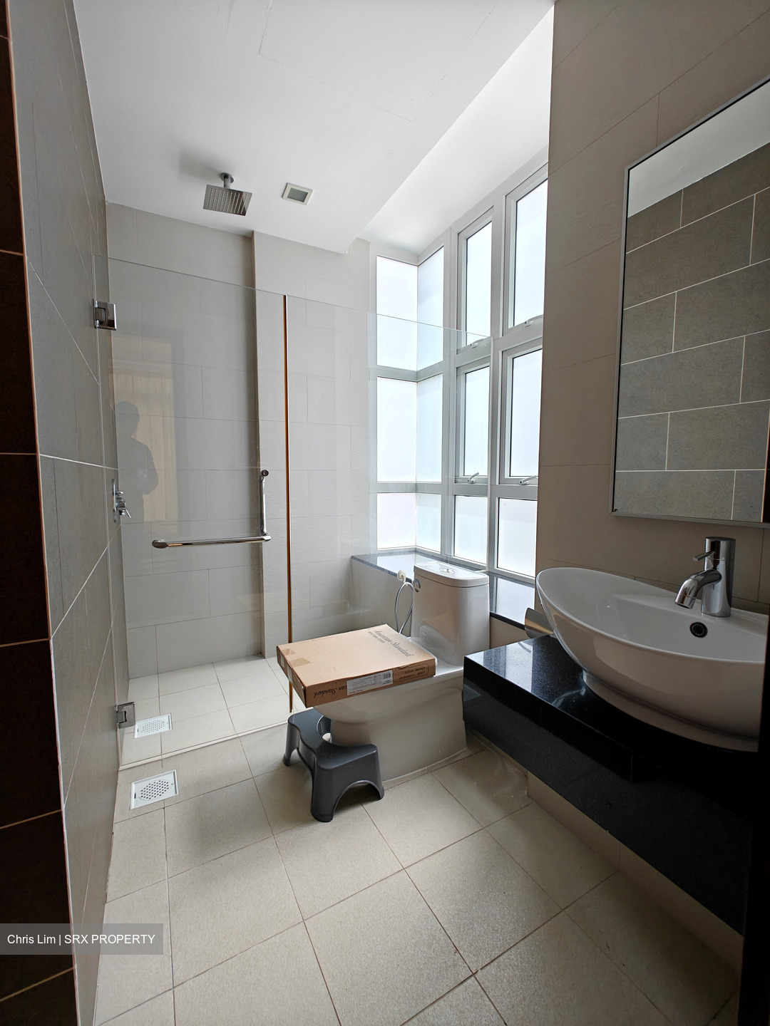 Palm Oasis (D15), Apartment #598687011
